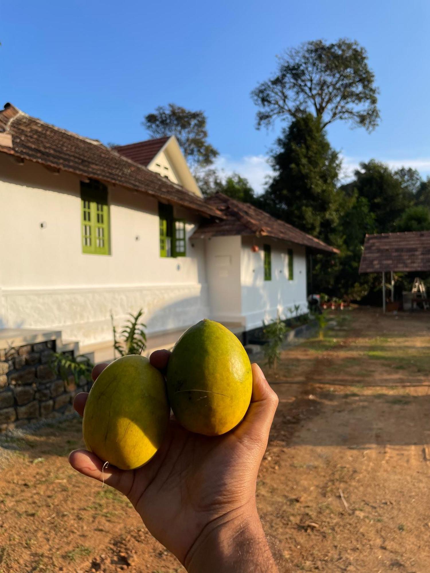 Calm Shack - 2 Bedroom-Boutique Farm Stay Munnar Exterior foto