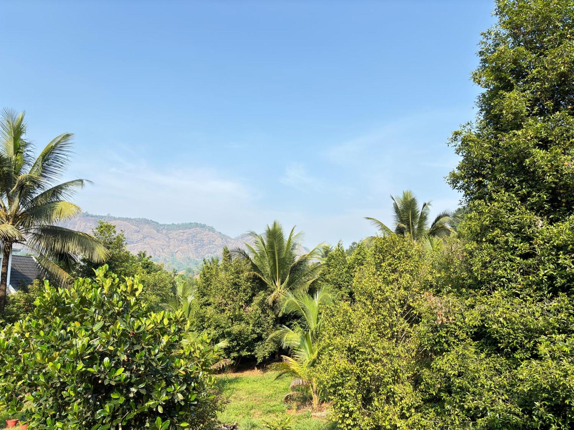 Calm Shack - 2 Bedroom-Boutique Farm Stay Munnar Exterior foto