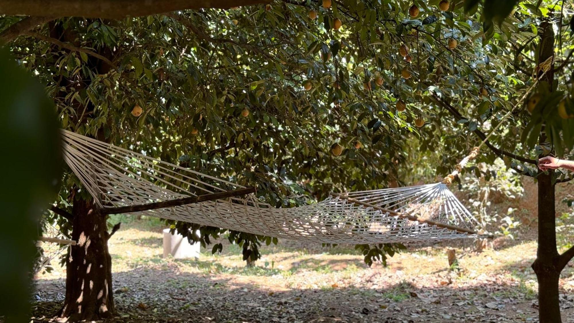Calm Shack - 2 Bedroom-Boutique Farm Stay Munnar Exterior foto